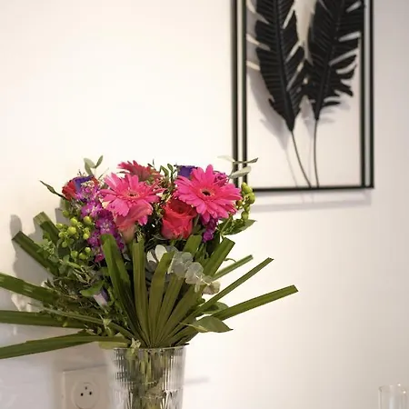Apartament 
